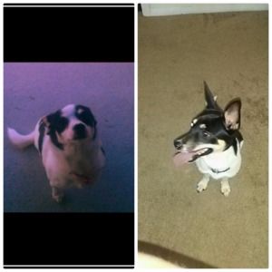 Meet your Posher, Aidee